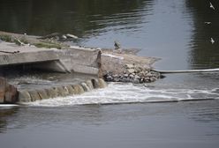 Warszawa. Nie działa jedna linia spalarni w "Czajce"