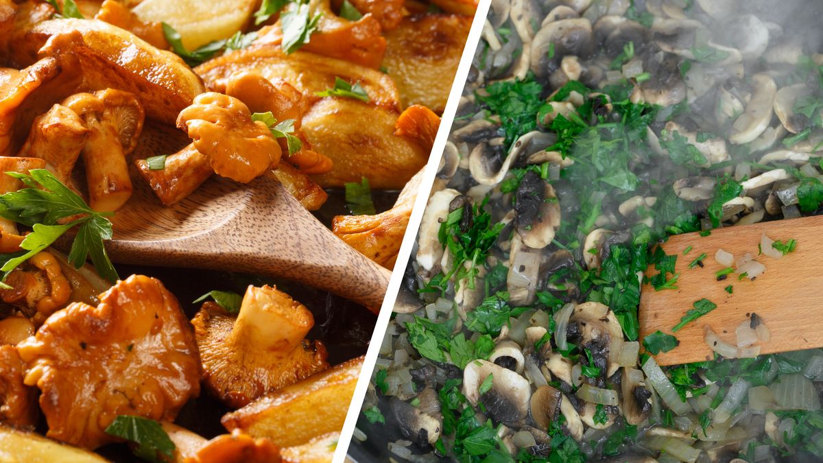 Kurki vs pieczarki - które grzyby mają więcej wartości?