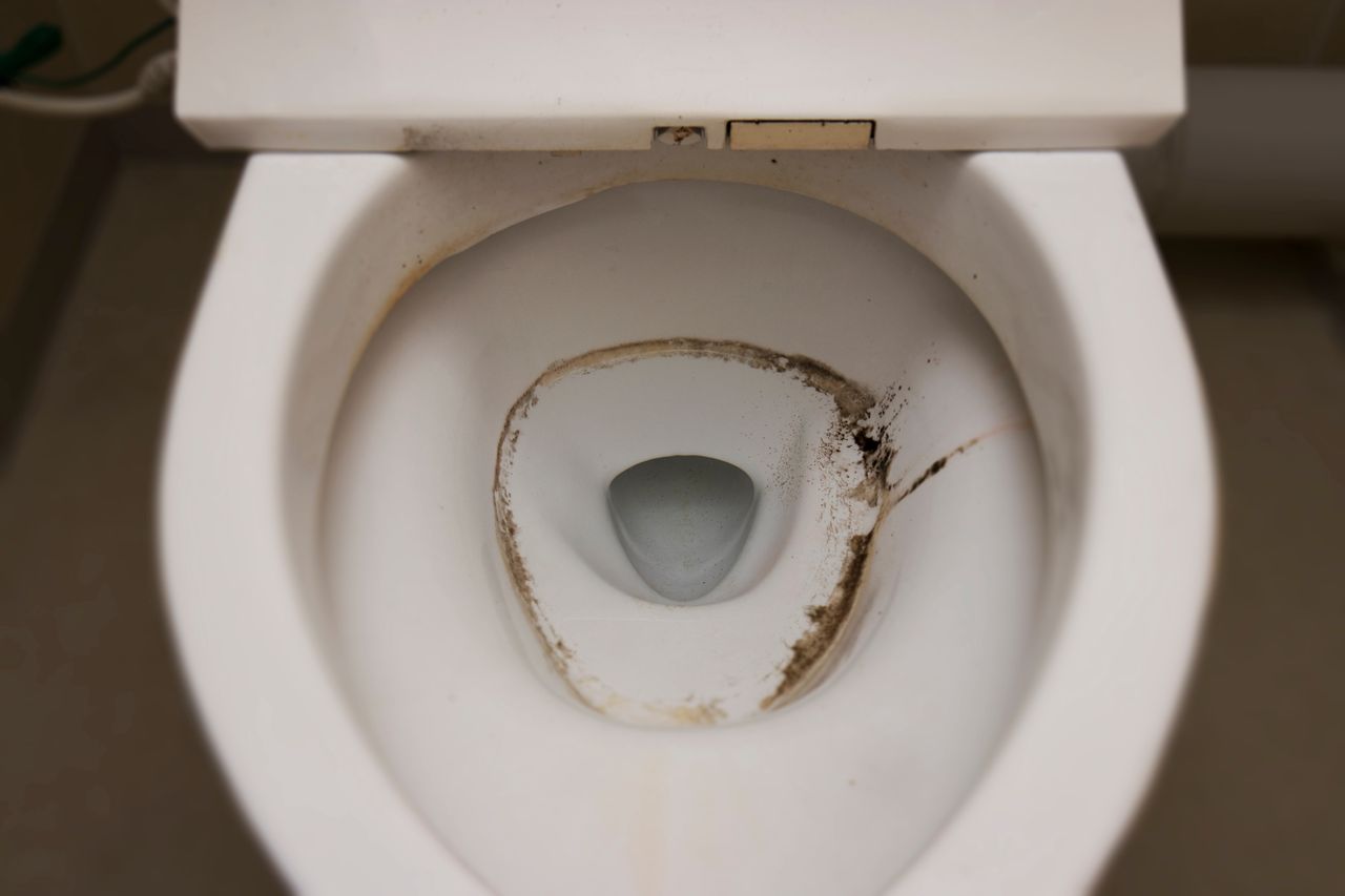 Natural solutions to banish toilet odours: Coffee, vinegar, baking soda