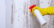 Prosty patent. Tak skutecznie zwalczysz pleśń na ścianach