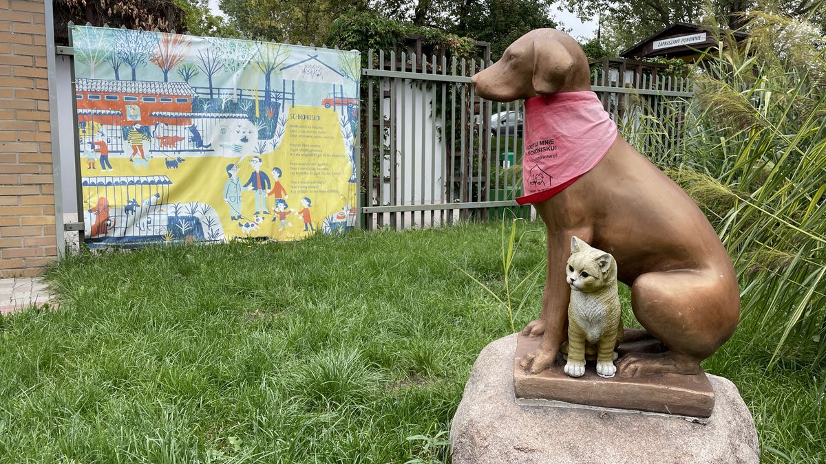 Schronisko Na Paluchu w Warszawie
