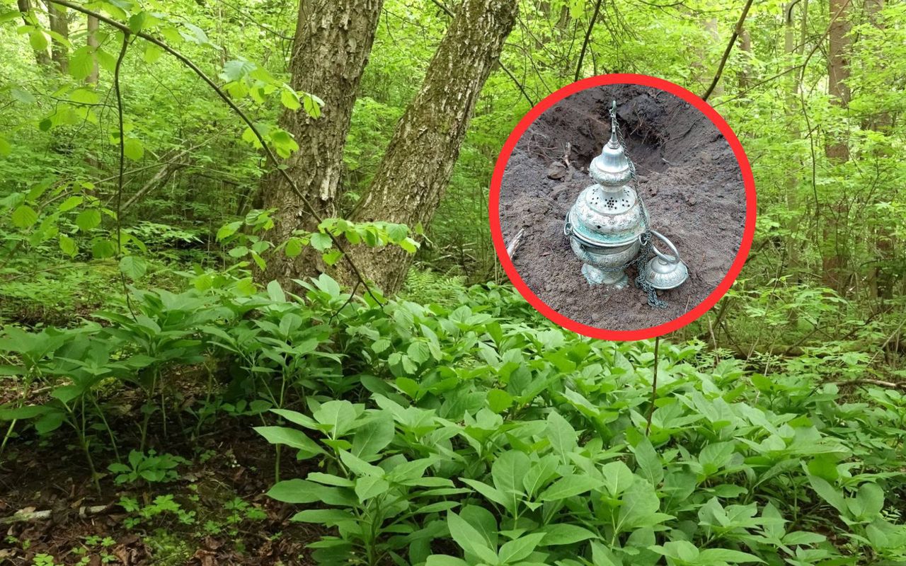 "Niezwykły przedmiot". Jak on się tam znalazł? Odkrycie w lesie