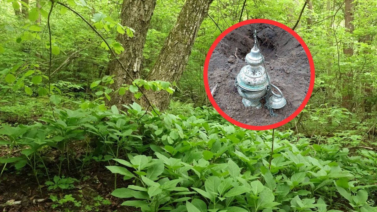 Trybularz znaleziony w lesie