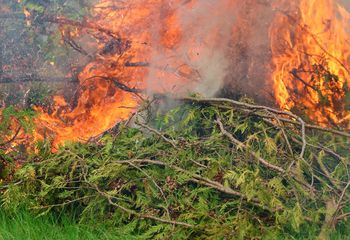 Sypią się wysokie mandaty. Kara to nawet 5 tys. zł