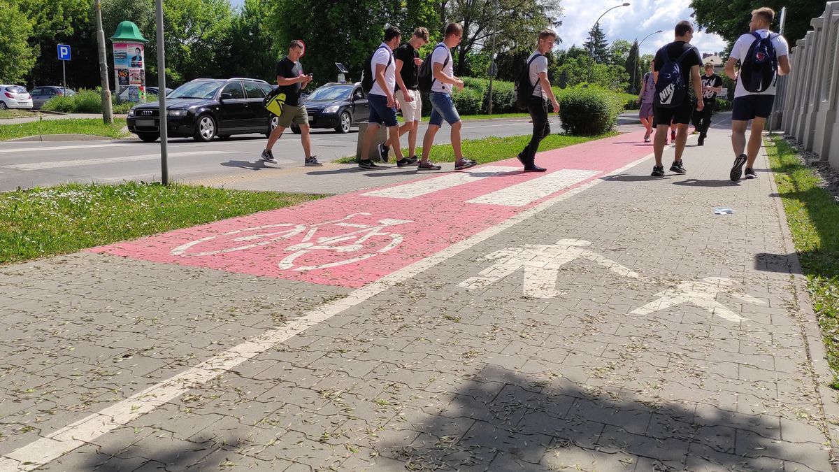 Przejście dla pieszych i ścieżka rowerowa