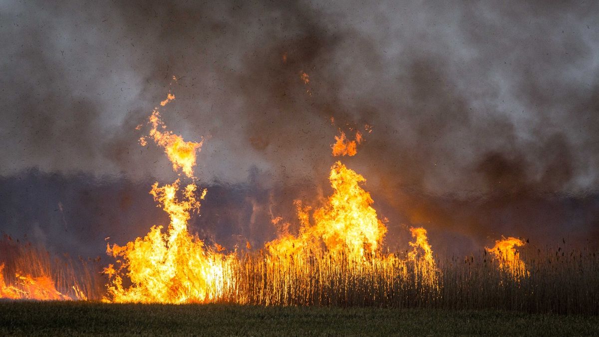 Strażacy walczą z pożarem, który trawi Biebrzański Park Narodowy