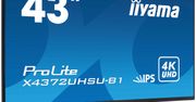 iiyama ProLite X4372UHSU-B1: 43-calowy monitor 4K za niecałe 2300 złotych