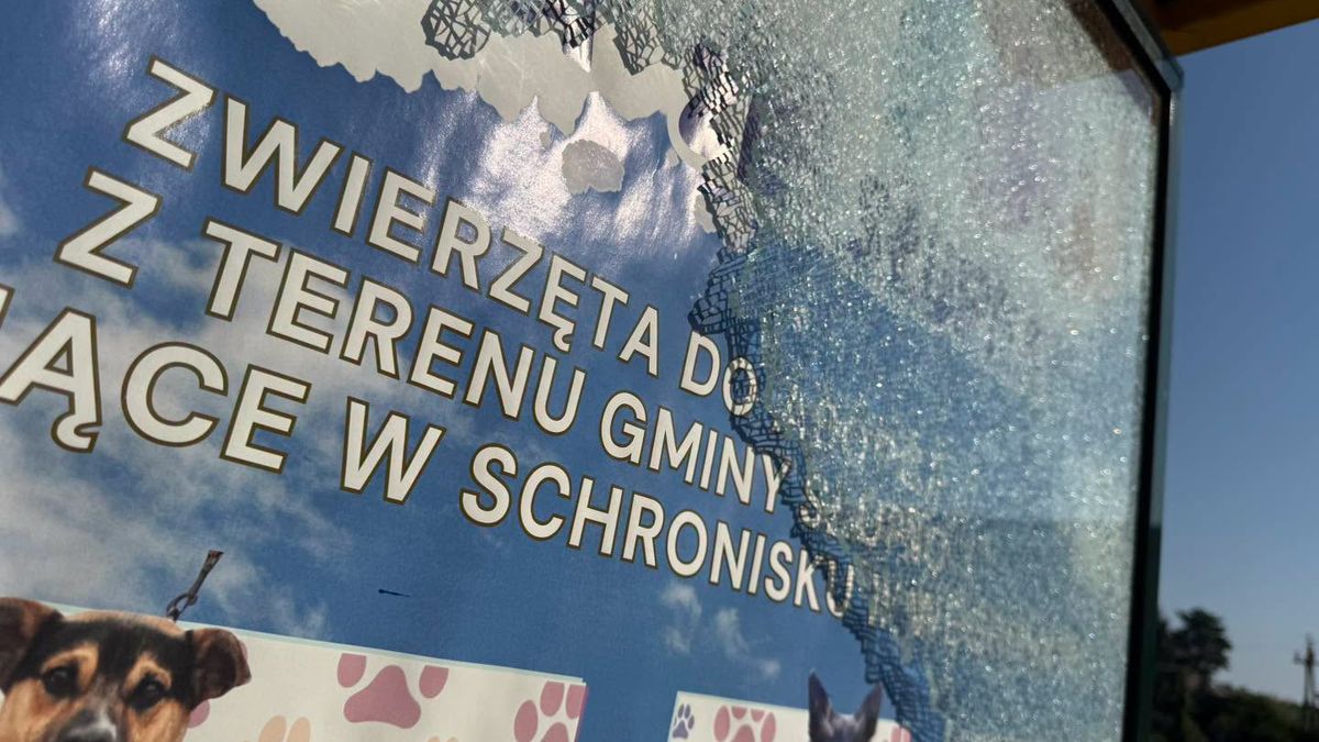 Rozbita szyba na przystanku autobusowym 