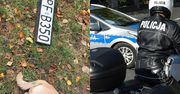 Pies zabity w Łodzi przez rozpędzony RADIOWÓZ POLICYJNY. Kierowca nie zatrzymał się, aby udzielić pomocy