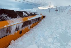 Norwegia. Lawina śnieżna spowodowała częściowy paraliż komunikacyjny