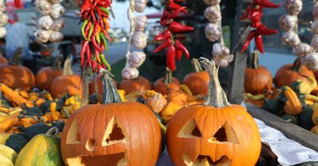 Akcja "Holy Wins" i Bal Wszystkich Świętych jako alternatywa dla Halloween