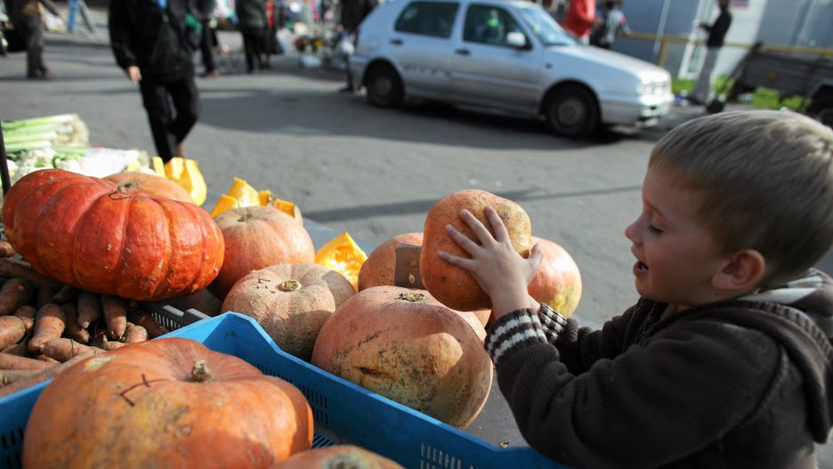 Politycy PiS chcą zakazać Halloween w szkołach