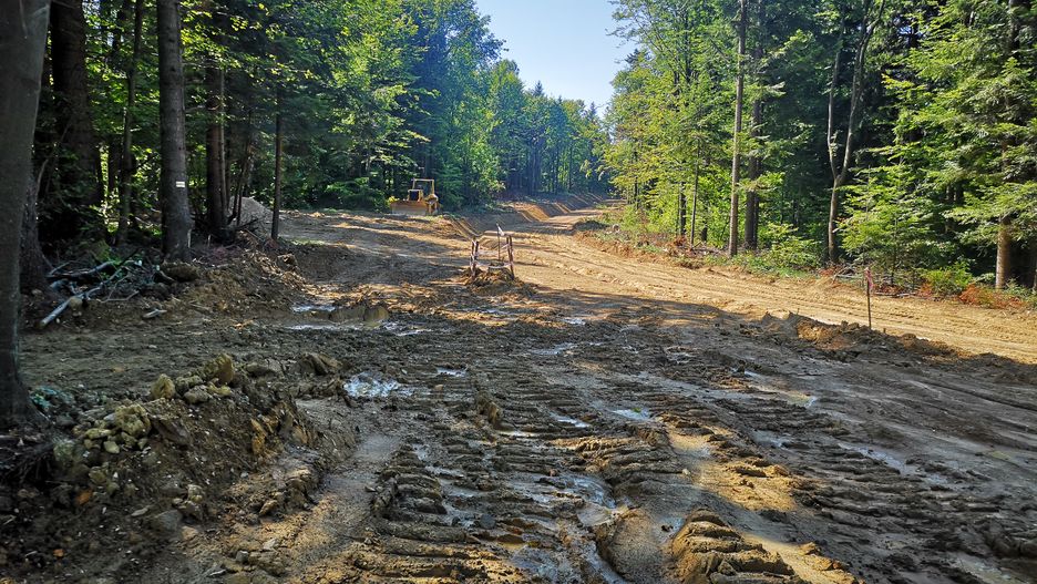 Pierwsze rozczarowanie – drogi, których nie było. Gdzieś nieopodal żółty szlak przecina czerwony szlak beskidzki, sierpień 2019 r. 