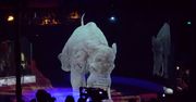 Hologramy w niemieckim cyrku. Widzowie oglądają zwierzęta bez okrucieństwa