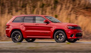 Kiedyś każdy samochód był SUV-em: geneza i przyszłość aut tego typu