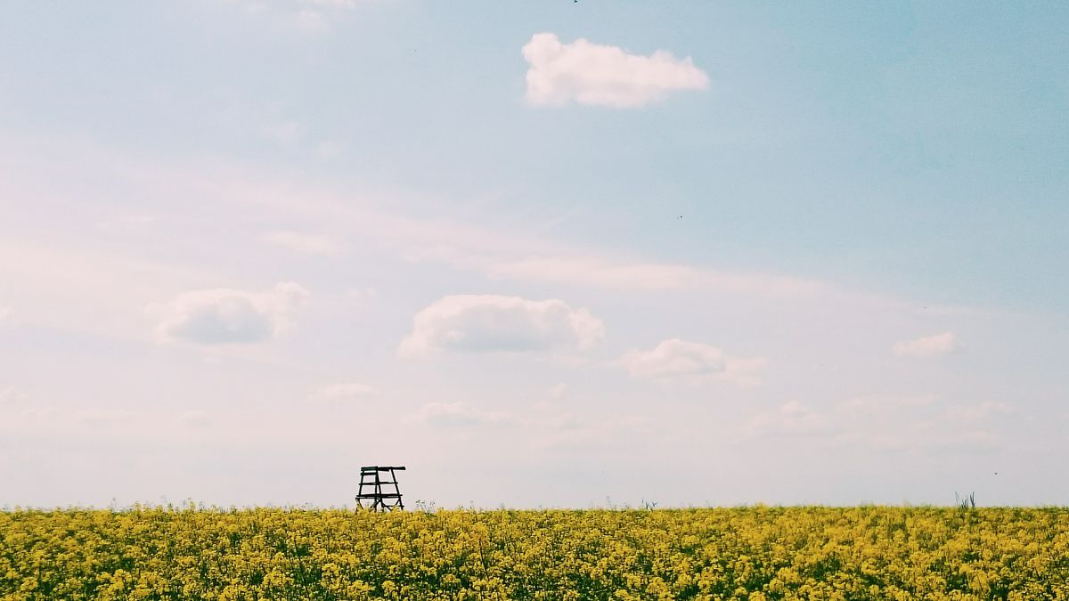 Sekrety mobilnej fotografii: minimalizm 1