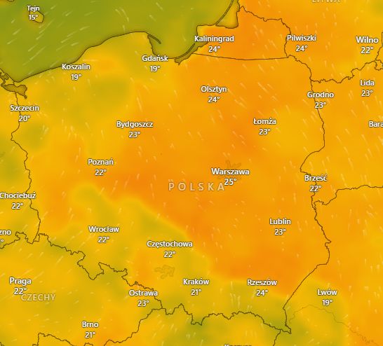 Prognozowane temperatury w niedzielę 19 maja