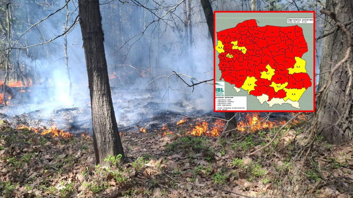 Zagrożenie pożarowe w lasach nadal duże