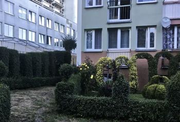 Ogródki pod blokiem. Co warto wiedzieć?