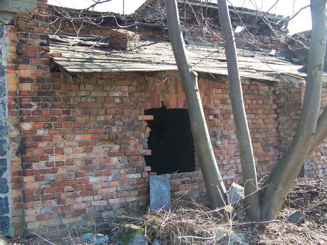 Tak wyglądała kwaszarnia w 2011 roku. Do połowy budynku sięgała ziemia, z której wyrastały drzewa