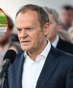 Tusk może ogłosić triumf po tym pomyśle. Jest nowy sondaż