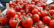 Pomidory w świetnej cenie – ten sklep bije konkurencję na głowę