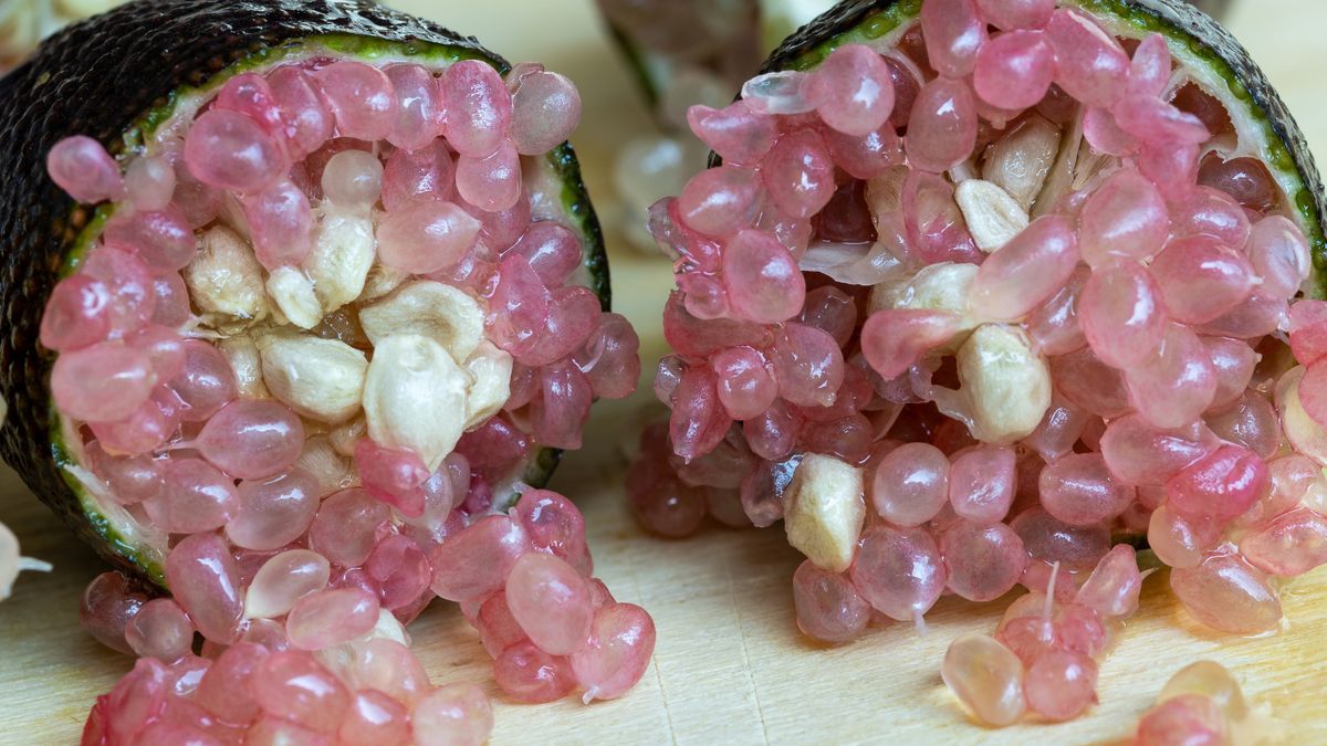 Finger lime – egzotyczny owoc, który wygląda niepozornie