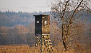 6 lat dla myśliwego, który zabił chłopca. Dlaczego tak mało?