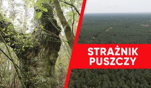 "To kluczowe zadanie". Wirtualna Polska wspiera strażników puszczy