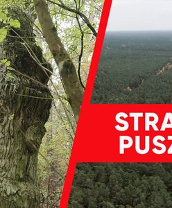 "To kluczowe zadanie". Wirtualna Polska wspiera strażników puszczy