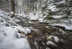 Czechy pokryte śniegiem. Rekordowe opady
