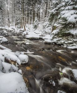 Czechy pokryte śniegiem. Rekordowe opady