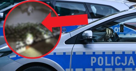 Piwnica pełna niespodzianek. Poruszenie po odkryciu w domu 59-latka