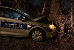 Radiowóz z nastolatkami rozbity na drzewie. Jest akt oskarżenia