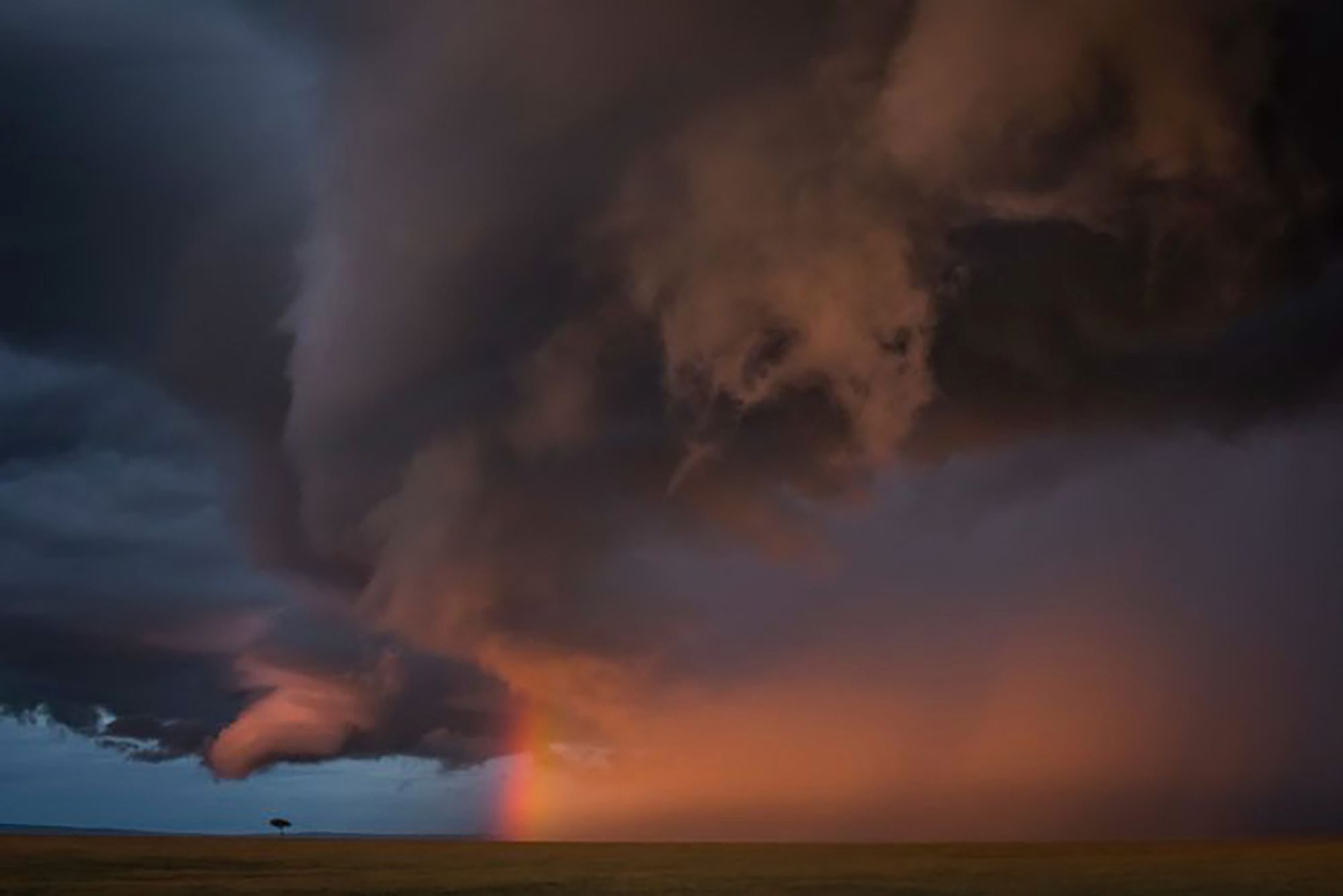 Najpiękniejsze zdjęcia przyrody w konkursie GDT Nature Photographer of the Year 12