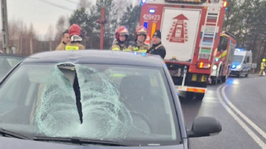 Bryła lodu wpadła do wnętrza auta