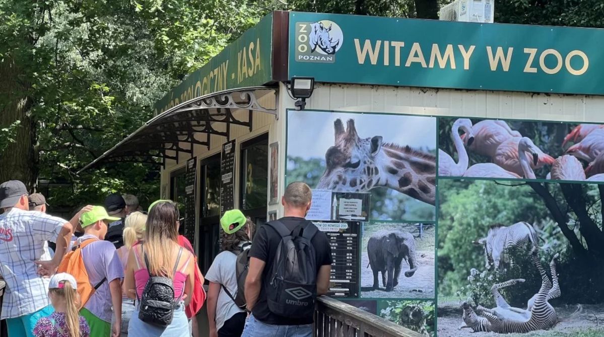 Czy Zoo Poznań powinno zmienić formę organizacyjną? Miasto odpowiada na propozycję