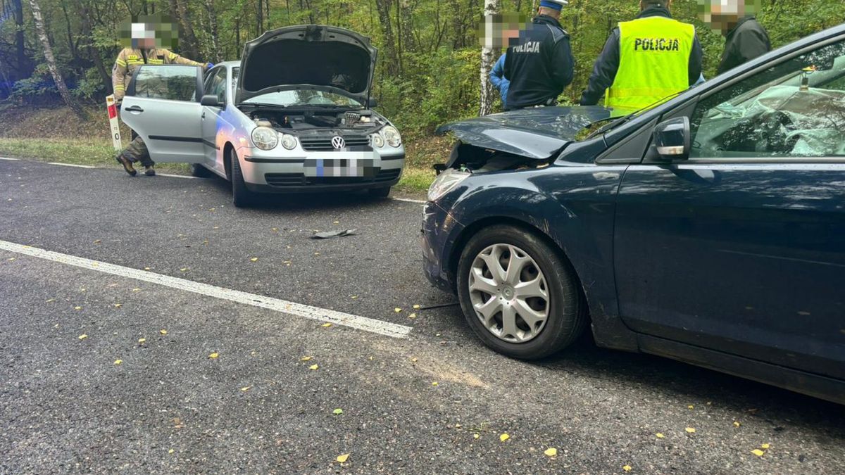 Tragiczny finał grzybobrania
