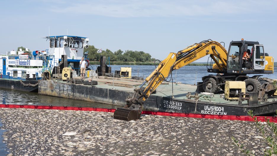 Katastofa ekologiczna na Odrze.
Krajnik Dolny, 14.08.2022 Akcja wylapywania martwych ryb z Odry. Specjalne tamy zatrzymuja martwe ryby, ktore sa wywozone do utylizacji. Duze ilosci ryb sprawiaja, ze do wyciagania uzywana jest koparka.,Image: 713983258, License: Rights-managed, Restrictions: , Model Release: no, Credit line: Michal Adamski / Forum
Michal Adamski / Forum
Odra, skazenie, katastrofa ekologiczna, ryby, rzeka, martwe ryby, zanieczyszczenia, zachodniopomorskie, granica, woda, zatrucie, ekologia, tama na ryby, category_code_pol