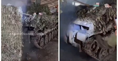 Rosjanie byli w szoku. Zobaczcie, kto zamieszkał w ich haubicy
