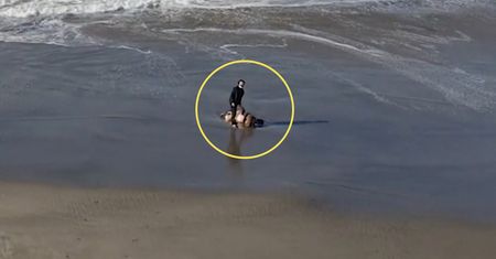 Odnalazł nieprzytomną kobietę, dzięki dronowi. Cały czas czuwał przy niej pies