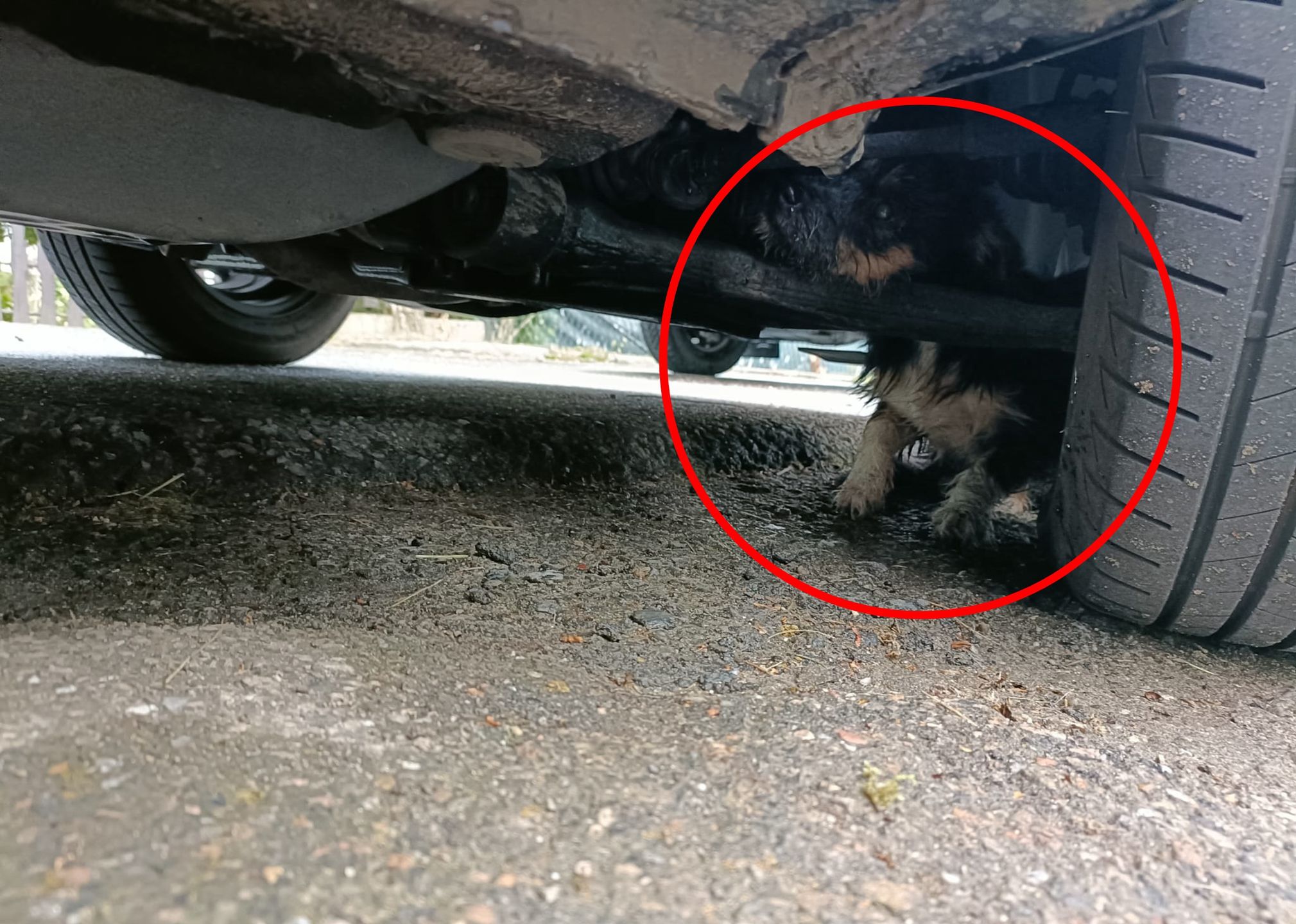 Zaklinowała się pod autem. Musieli rozkręcić zawieszenie skody