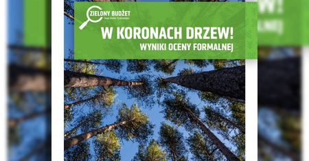 VIII edycja Zielonego Budżetu „W koronach drzew!” po ocenie formalnej. Co dalej z projektami?
