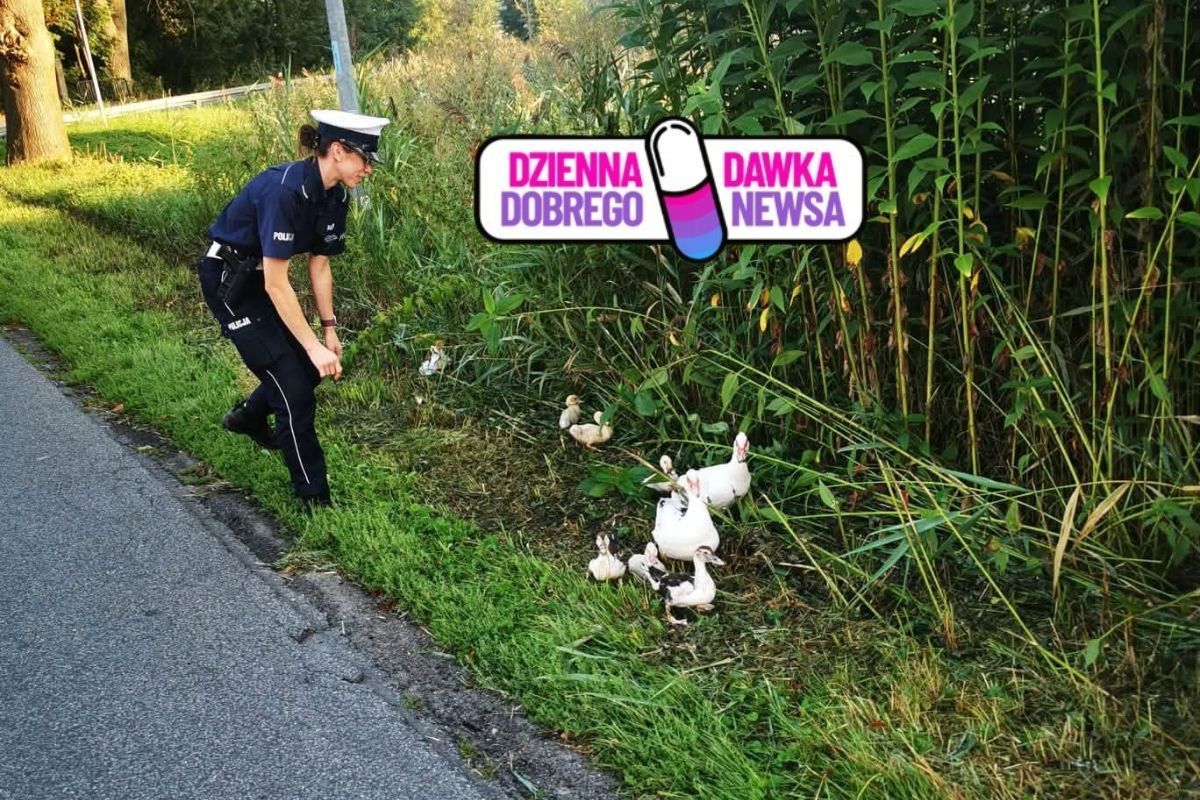 Były na środku ulicy. Policjantka wyskoczyła z radiowozu. Zatrzymała ruch