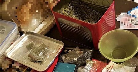 Wrocław. Z parku prosto za kratki. Policja uderzyła w biznes dopalaczy