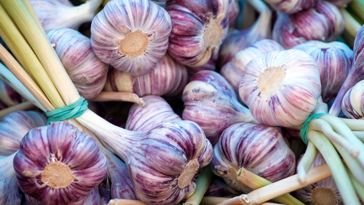 Ta metoda na przechowywanie czosnku zawsze się sprawdza.