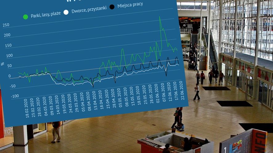 Odmrażanie gospodarki. Google pokazuje, gdzie chodzą Polacy. 