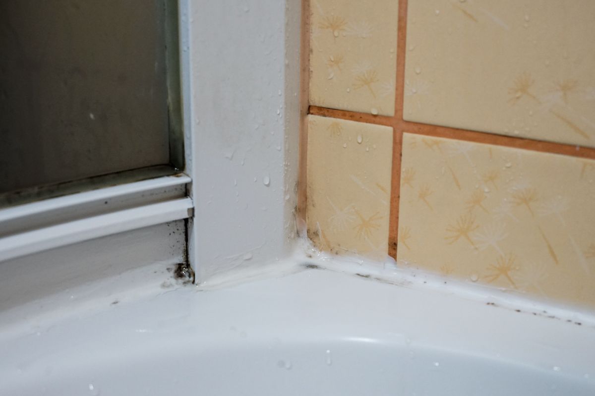 Wsmaruj w fugi. Pleśń zniknie szybciej, niż myślisz