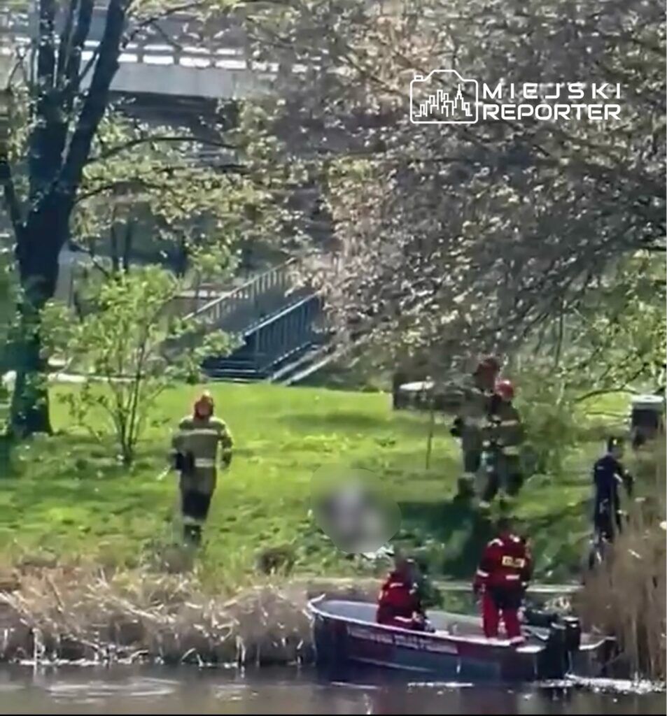 Fot. Czytelniczka Miejskiego Reportera