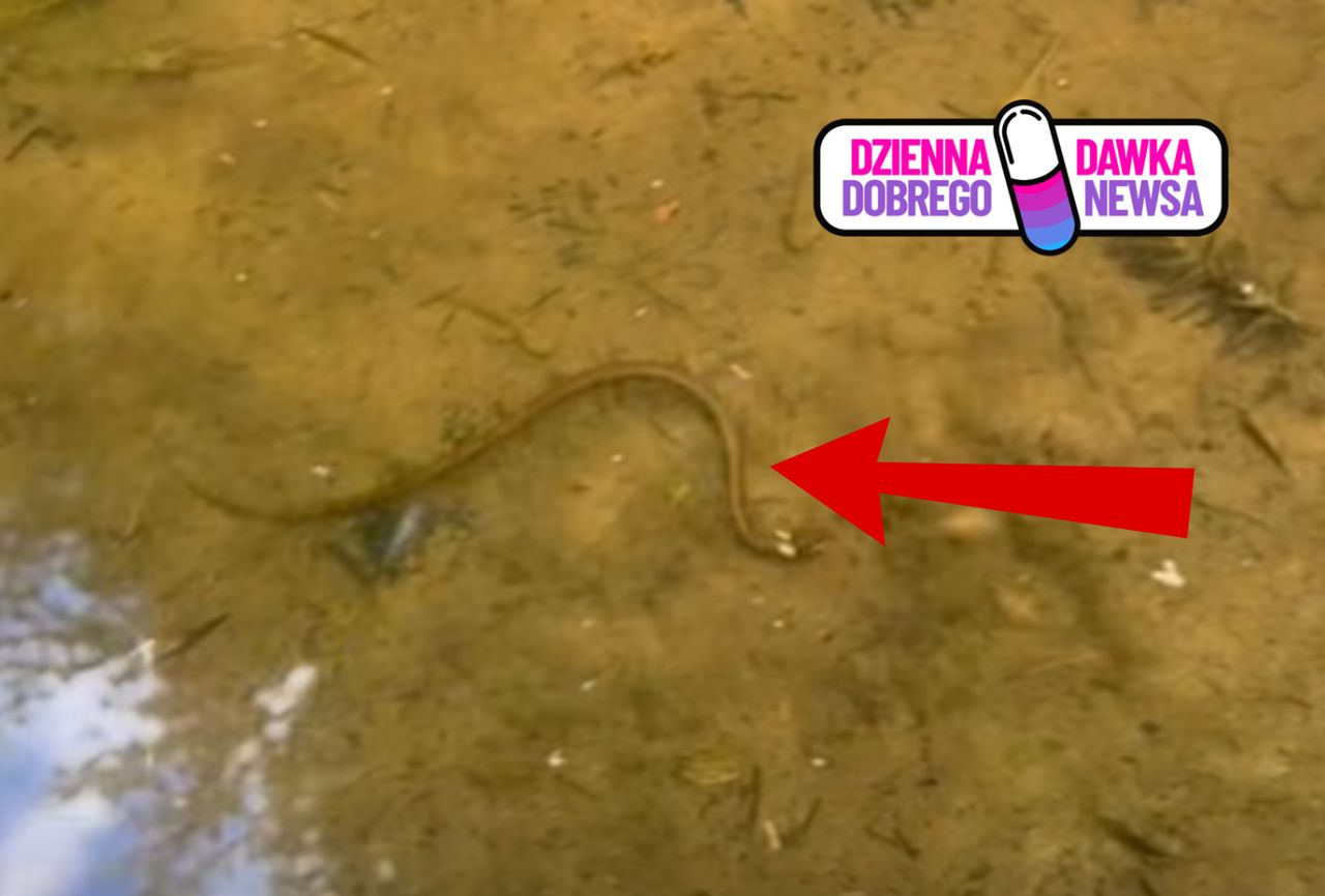 Egzotyka w polskich lasach. "Nie trzeba jechać na koniec świata"
